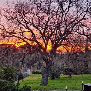 Oda ve Kahvaltı Bee, Frascati